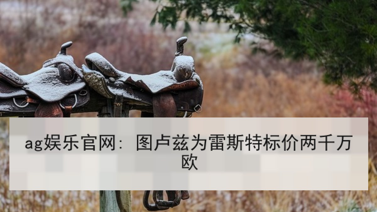 ag娱乐官网: 图卢兹为雷斯特标价两千万欧