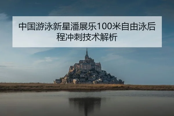 中国游泳新星潘展乐100米自由泳后程冲刺技术解析
