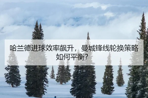 ha-lan-de-jin-qiu-xiao-lv-biao-sheng-man-cheng-feng-xian-lun-huan-ce-lve-ru-he-ping-heng-2-477.jpg